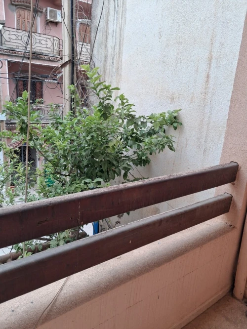 Vente Villa Alger Cheraga