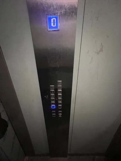Vente Appartement F3 Alger Ain naadja