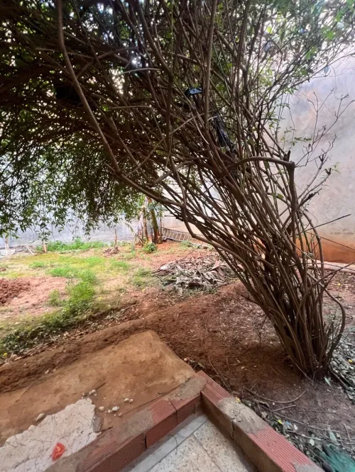 Location Villa Alger Kouba