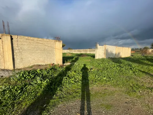 Location Terrain Alger Rouiba