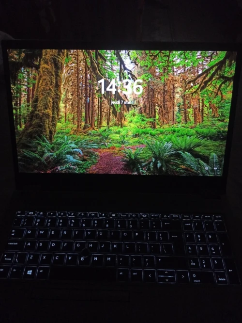 HP ZBook Fury 15 G8 Workstation - i7 11th - 32GB RAM - Double GPU