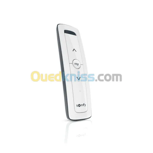 Télécommande Situo 1. 2. 3 ET 4 RTS Pure