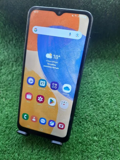 Samsung F13 