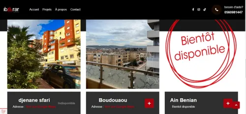 création de site vitrine professionnel pour entreprises ( avec possibilité de facturation )