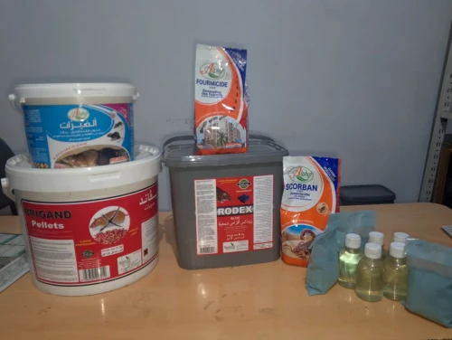 Raticide RODEX, rats et souris
