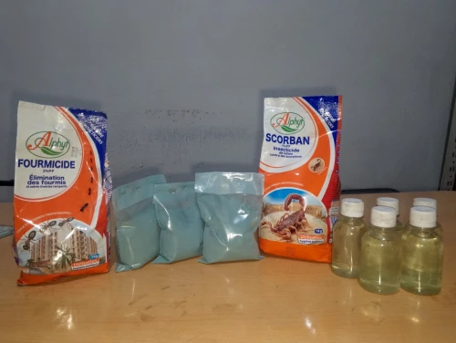 Raticide RODEX, rats et souris