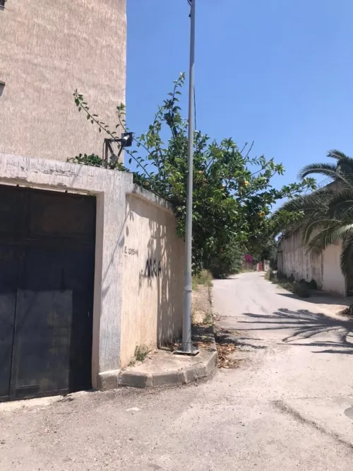 Location Local Alger Cheraga