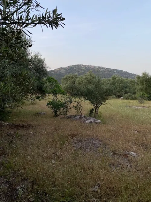 Vente Terrain Tizi Ouzou Mechtrass