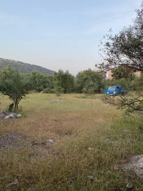 Vente Terrain Tizi Ouzou Mechtrass