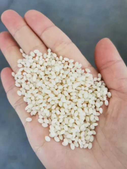 Jwell PLA PBAT Machine de compoundage biodégradable