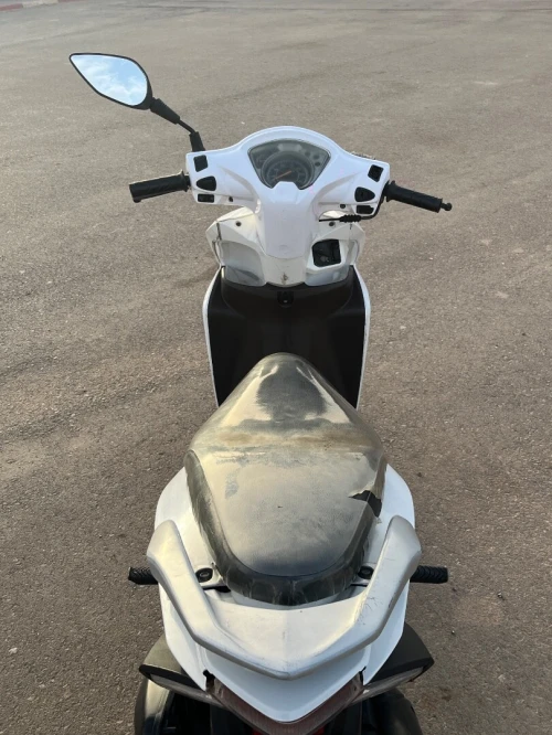 Pista Vision 2019