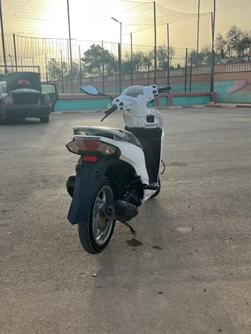 Pista Vision 2019