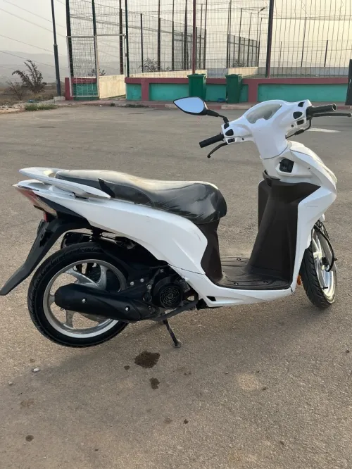 Pista Vision 2019