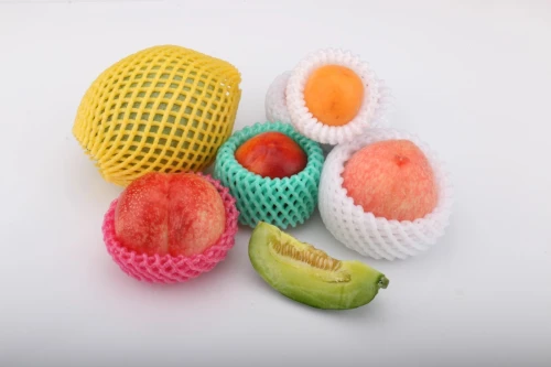 Filet de mousse des fruits et legumes