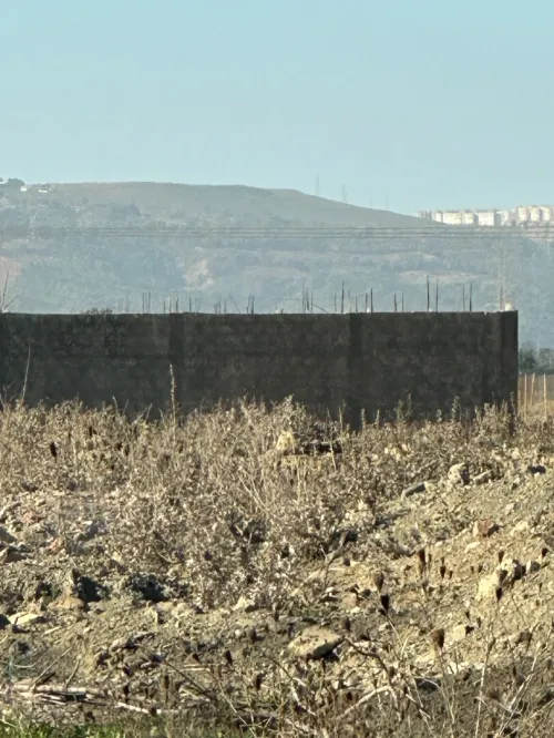 Location Terrain Blida Ben khellil