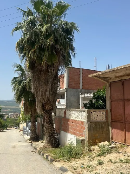 Vente Villa Guelma Bouchegouf