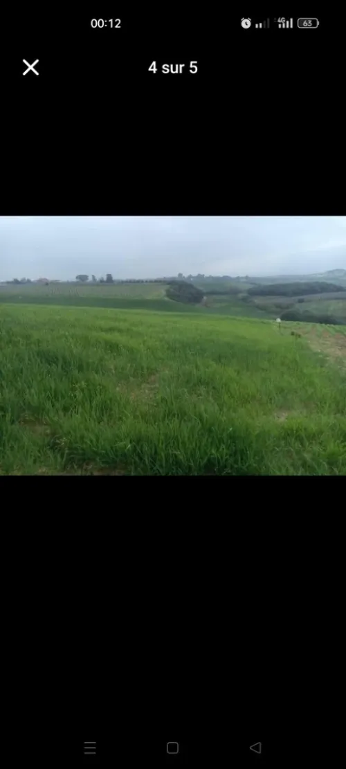 Vente Terrain Boumerdès Leghata