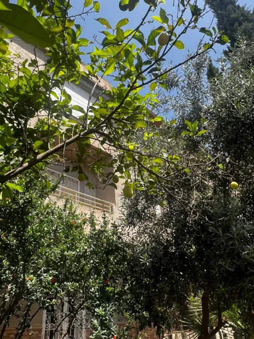 Vente Villa Constantine El khroub