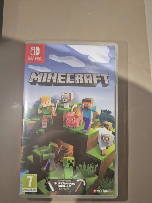 Minecraft switch