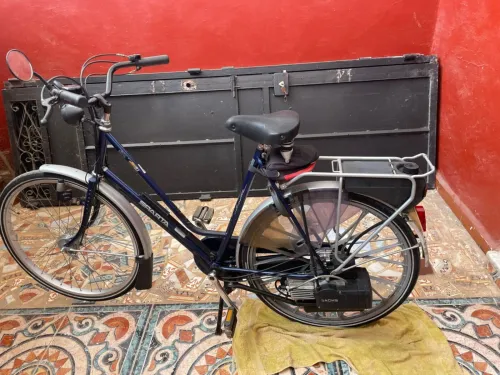 Vélo à essence 