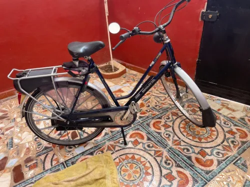 Vélo à essence 