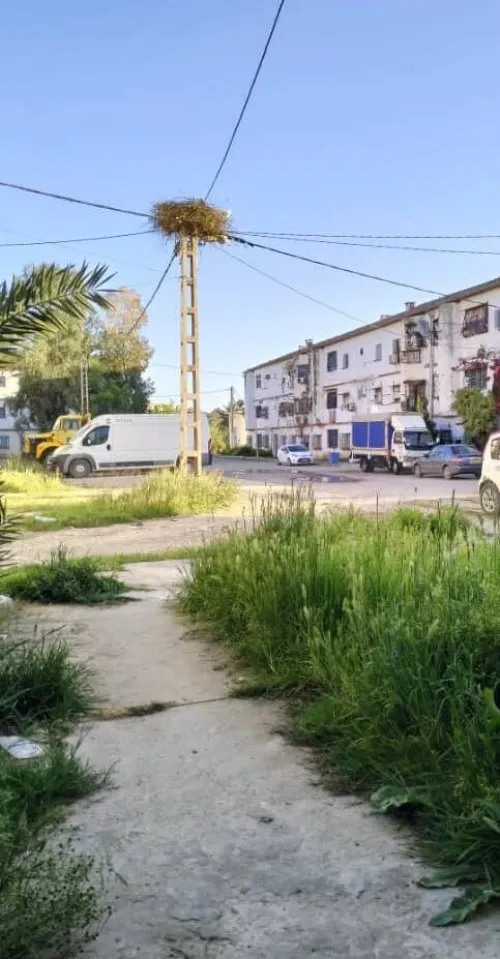 Vente Appartement F3 El Tarf Ben mehdi