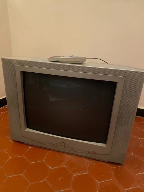 Téléviseur grundig + Poste Radio brandt + Écran PC