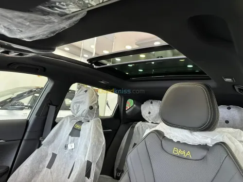 Geely Coolray 2025 Fill option