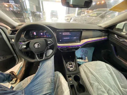Skoda Octavia 2024 Pro