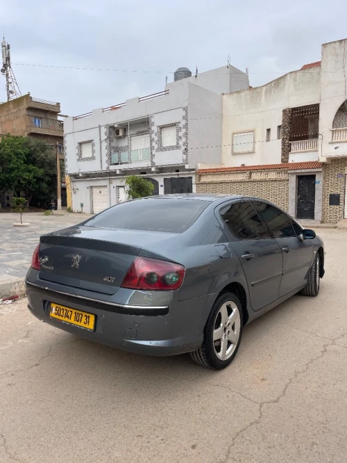 Peugeot 407 2007 407