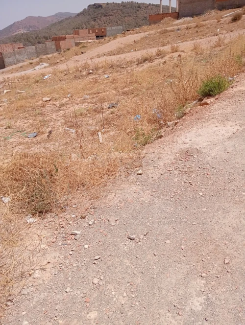 Vente Terrain Tlemcen Tlemcen