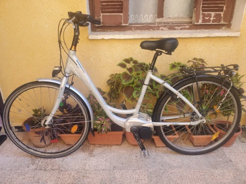 Velo