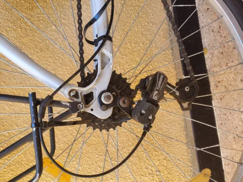 Velo