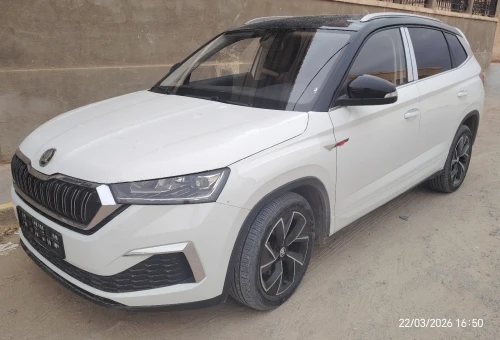 Skoda Kamiq 2024 