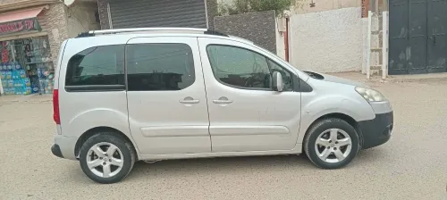 Peugeot Partner 2011 Tepee