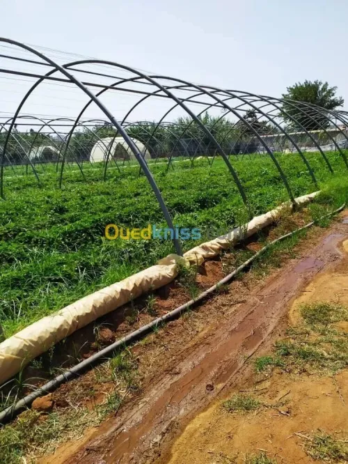 Vente Terrain Agricole Alger Zeralda
