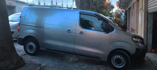 Fiat Scodo 2023 Scodo