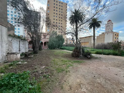 Vente Terrain Oran Oran