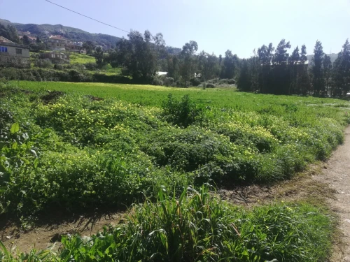 Vente Terrain Tizi Ouzou Tigzirt