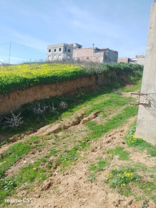 Vente Terrain Boumerdès Boudouaou