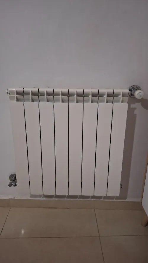 Radiateur prother 8 éléments 