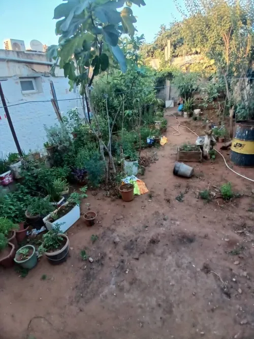 Vente Appartement Tipaza Bou ismail