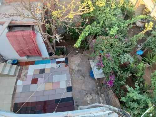 Vente bien immobilier Tipaza Bou ismail