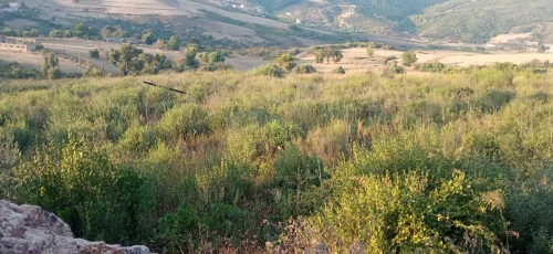 Vente Terrain Béjaïa Oued ghir