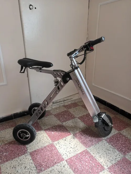 Tricycle électrique 