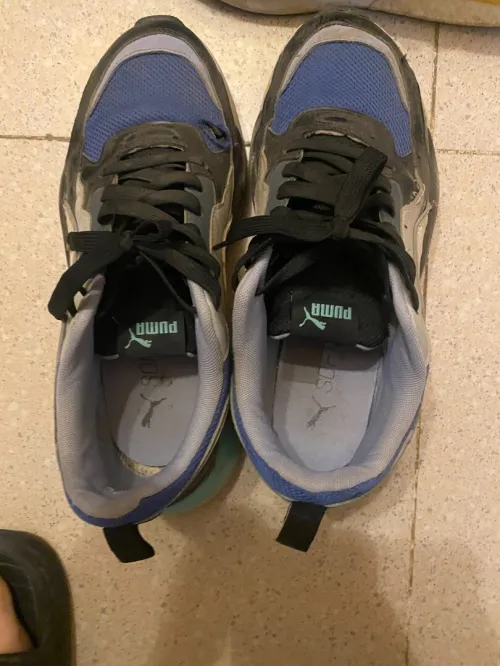 Basquette Puma original Pointure 42