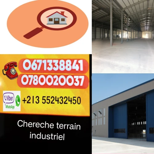 Cherche achat Terrain Tiaret Tiaret
