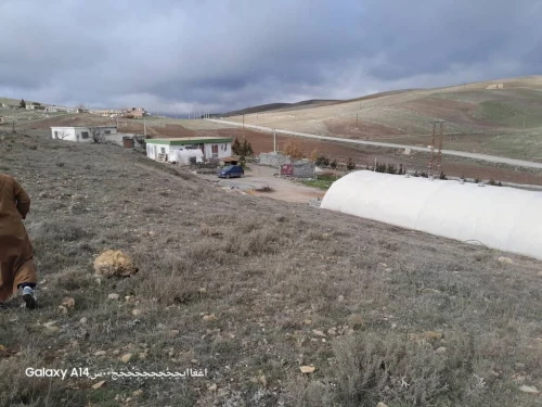 Vente Terrain Agricole Sétif Bir el arch