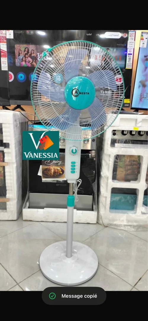 Ventilateur sur pied marque anesta