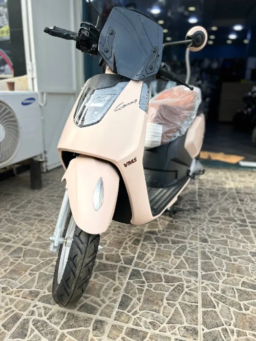 Vms Gemma 2026